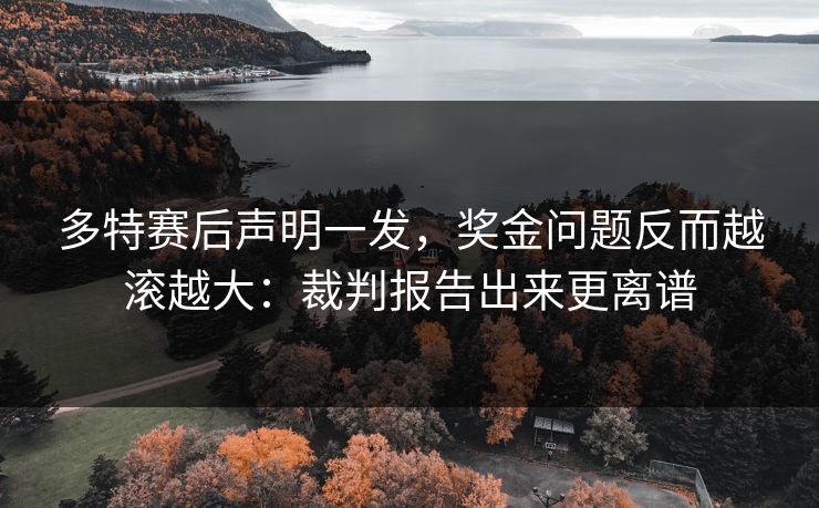 多特赛后声明一发，奖金问题反而越滚越大：裁判报告出来更离谱